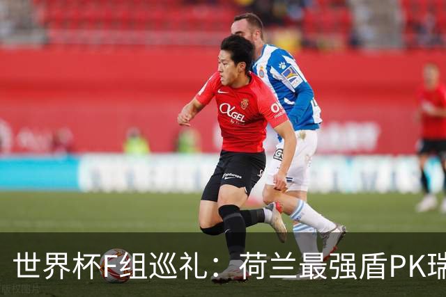 世界杯F组巡礼：荷兰最强盾PK瑞典犀利刀 日本短板明显